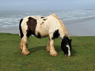 Fotografie img-20260416-wa0096_original.jpg