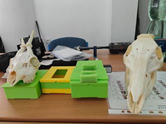 Fotografie foto_5_original.jpg