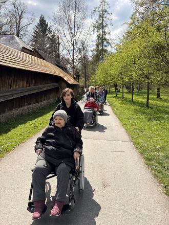 Fotografie img_5658_original.jpg